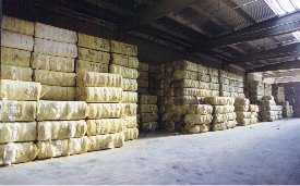 Cotton Bales Ready For Shipment